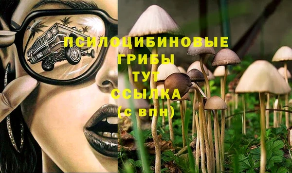 молекула духа Алексин