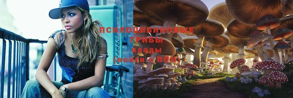 стафф Саяногорск