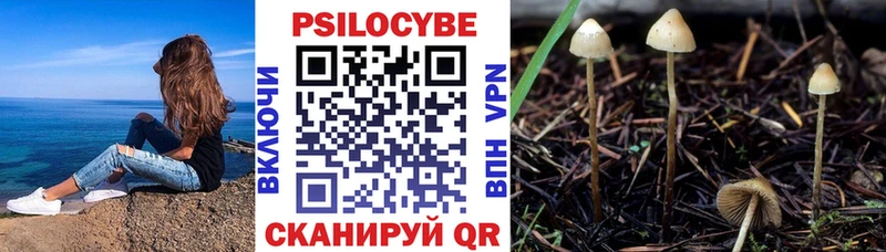 blacksprut онион  Щёкино  Галлюциногенные грибы мухоморы  наркота 