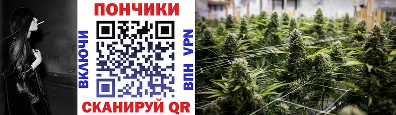 MEGA как зайти  Щёкино  Конопля Amnesia 